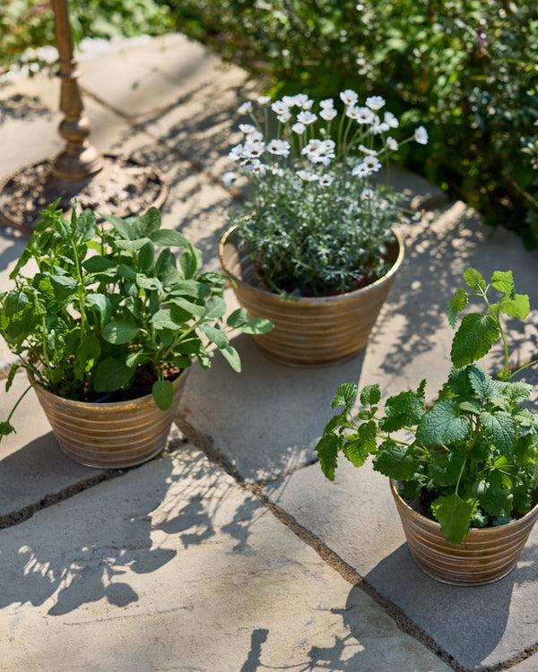 Dibor Sinda Set Of 3 Ribbed Planters