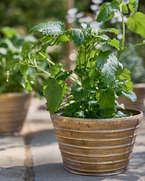 Dibor Sinda Set Of 3 Ribbed Planters