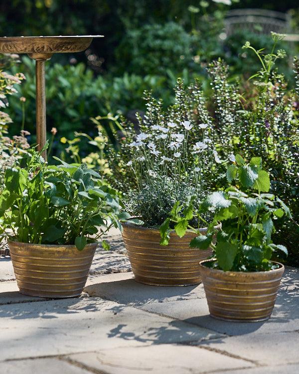 dibor Sinda Set of 3 Ribbed Planters