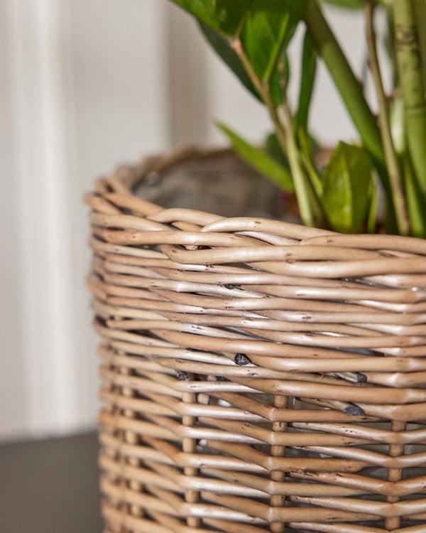 Dibor Small Round Wicker Planter Basket