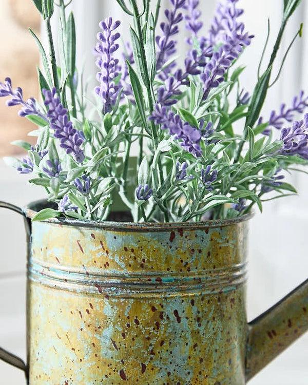 Dibor Spring Lavender In Watering Can