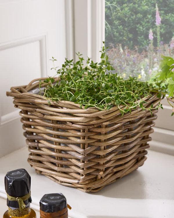 Dibor Square Lined Herb Planter Baskets
