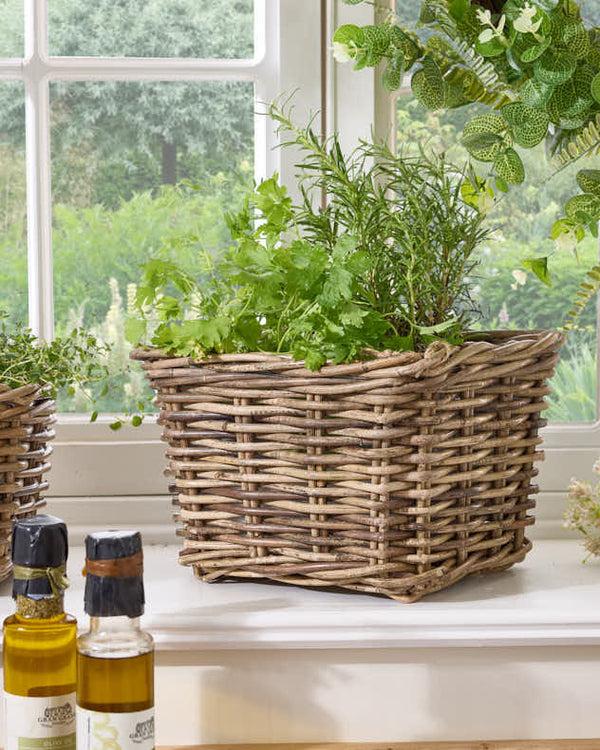 Dibor Square Lined Herb Planter Baskets