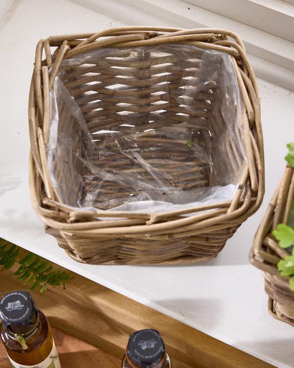 Dibor Square Lined Herb Planter Baskets
