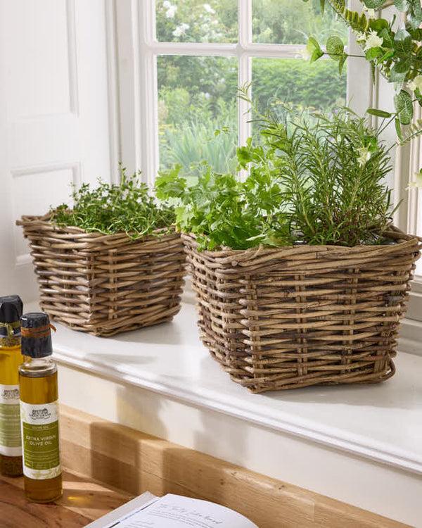 dibor Square Lined Herb Planter Baskets