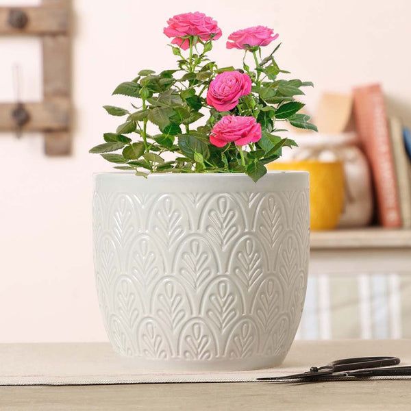 dibor Stone Grey Botanical Embossed Plant Pot