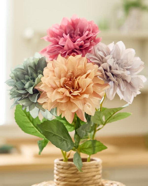 dibor Sunset Dahlia Bunch