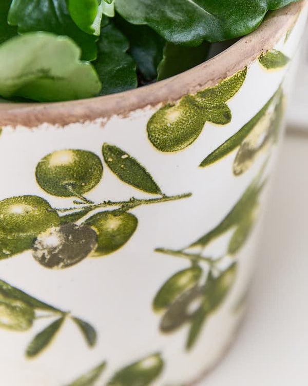 Dibor Tapered Rustic Olive Planter