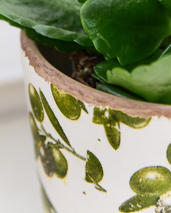 Dibor Tapered Rustic Olive Planter