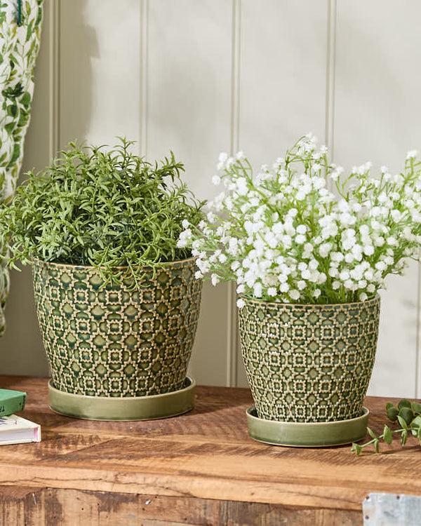 dibor Taza Patterned Ceramic Planters