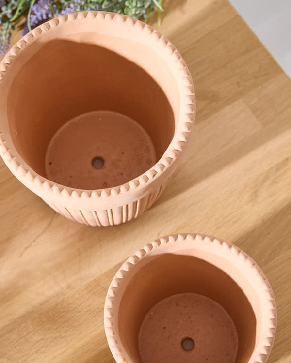 Dibor Terracotta Houseplant Pots