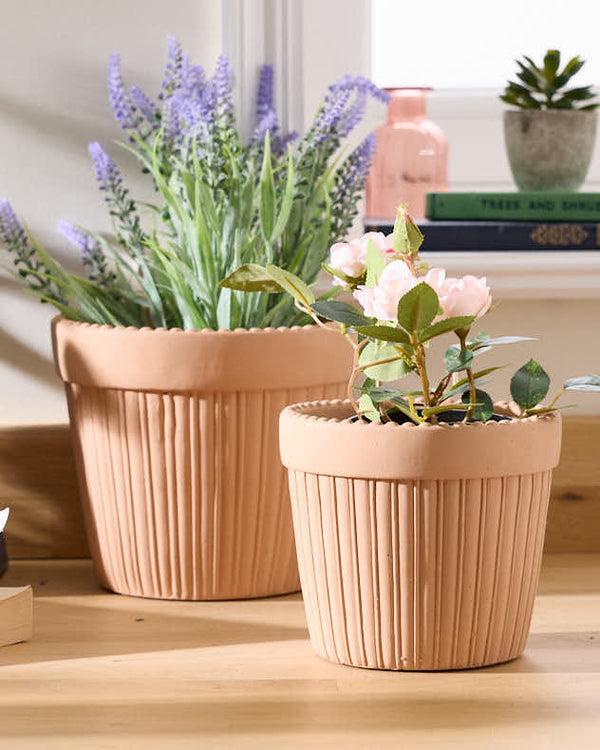 dibor Terracotta Houseplant Pots