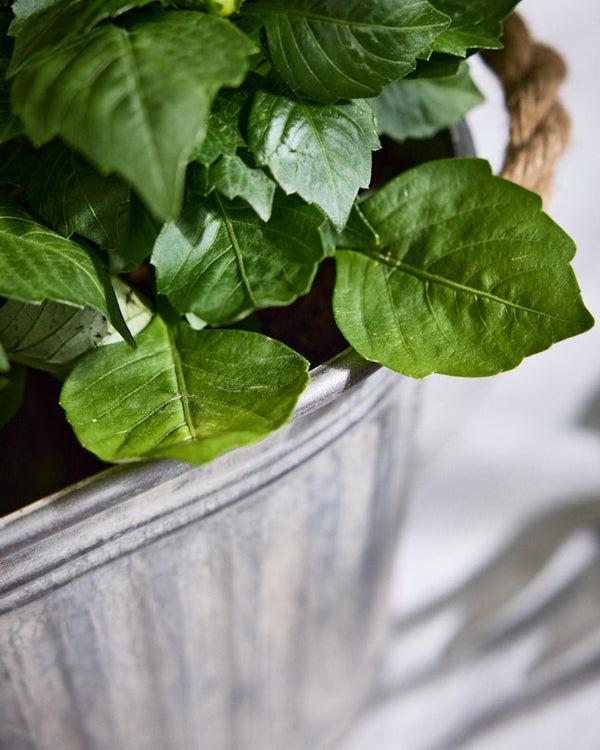 Dibor Toma Medium Metal Planter With Handles