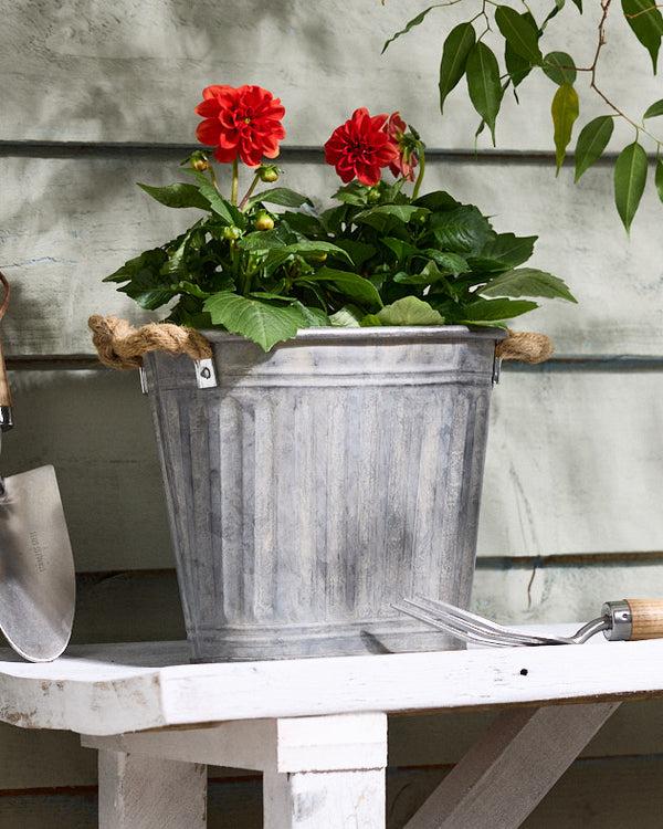 dibor Toma Medium Metal Planter with Handles