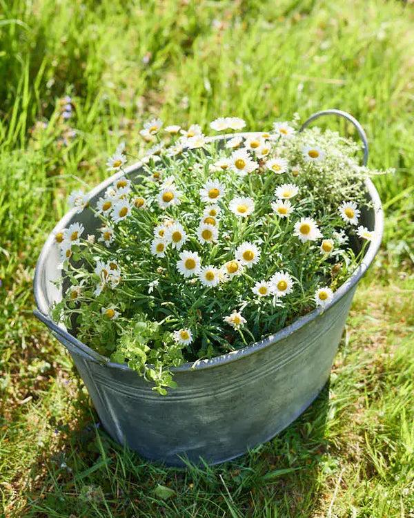 Dibor Traditional Metal Planter Tub With Handles