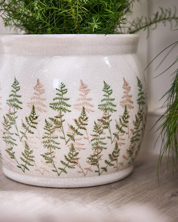 Dibor Varen Large Fern Plant Pot