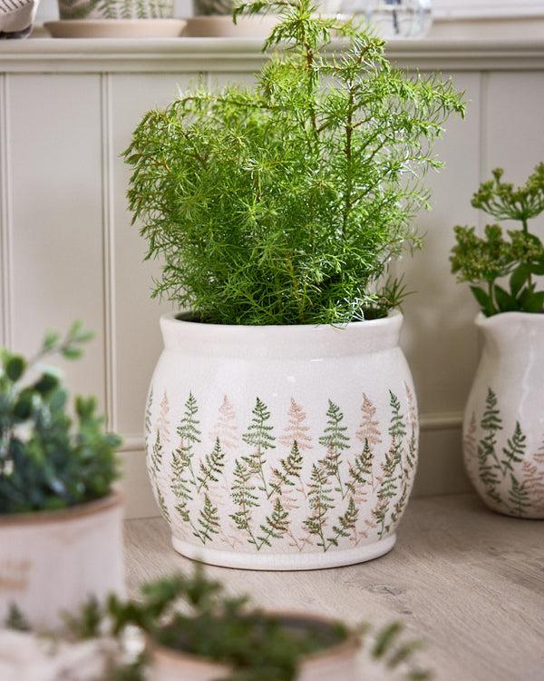 dibor Varen Large Fern Plant Pot