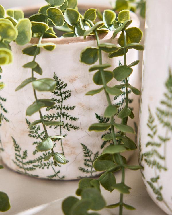 Dibor Varen Set Of 2 Fern Plant Pots