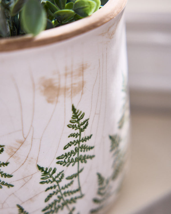 Dibor Varen Set Of 2 Fern Plant Pots