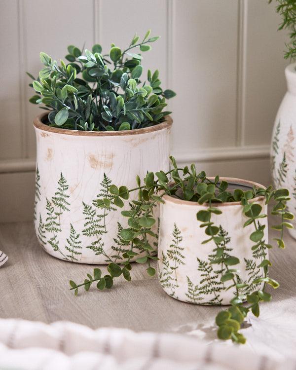 dibor Varen Set of 2 Fern Plant Pots
