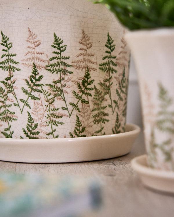 Dibor Varen Set Of 2 Fern Planters With Trays