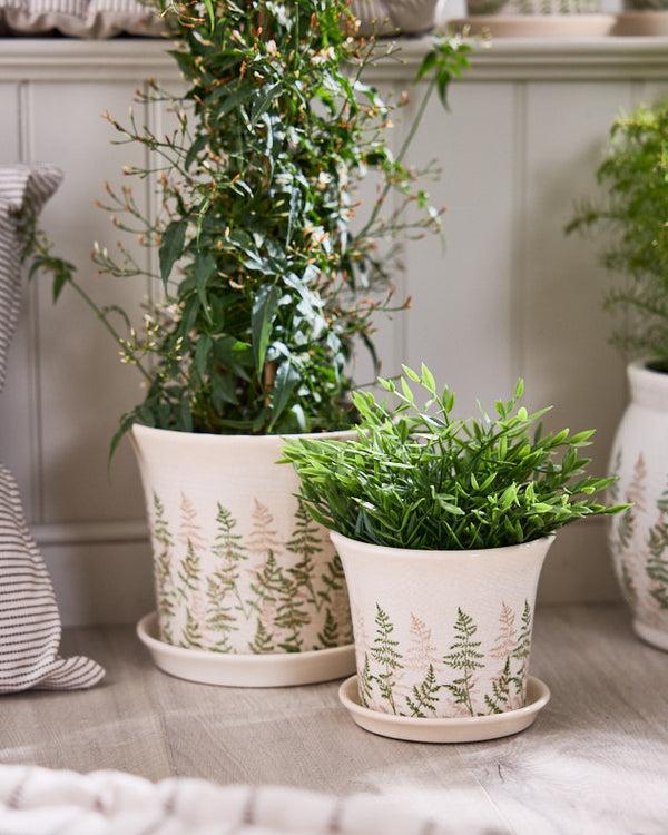 dibor Varen Set of 2 Fern Planters with Trays