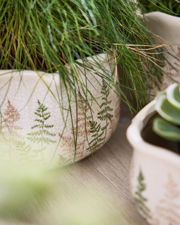 Dibor Varen Set Of 3 Fern Planters