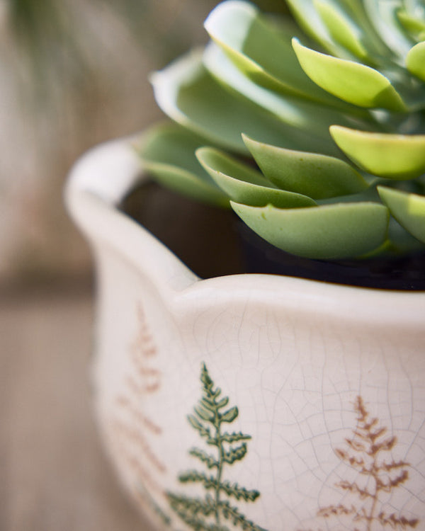 Dibor Varen Set Of 3 Fern Planters