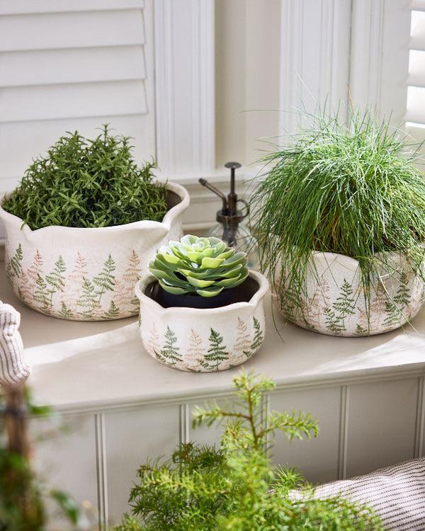 dibor Varen Set of 3 Fern Planters