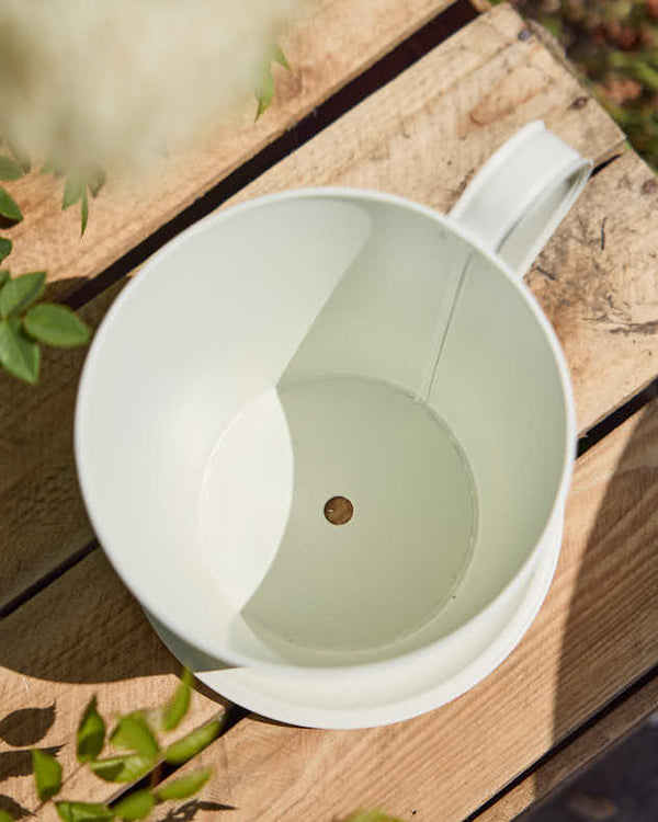 Dibor Vintage Cream Tea Cup Planter