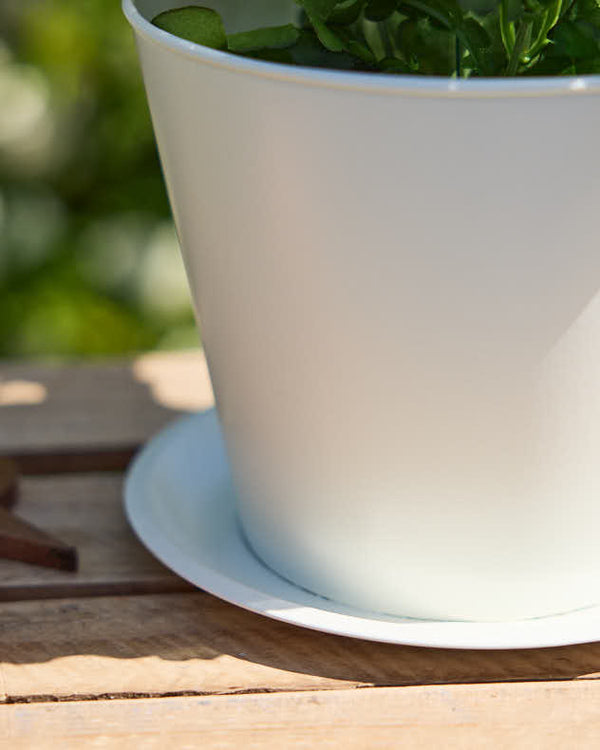 Dibor Vintage Cream Tea Cup Planter