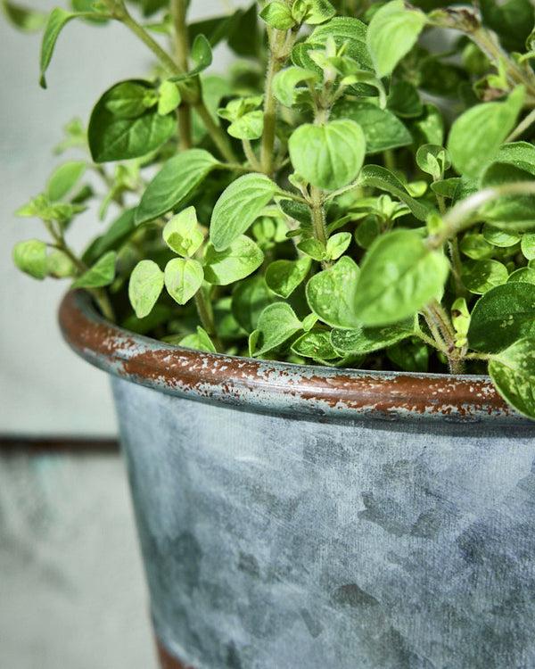 Dibor Vintage Effect Planter With Handle