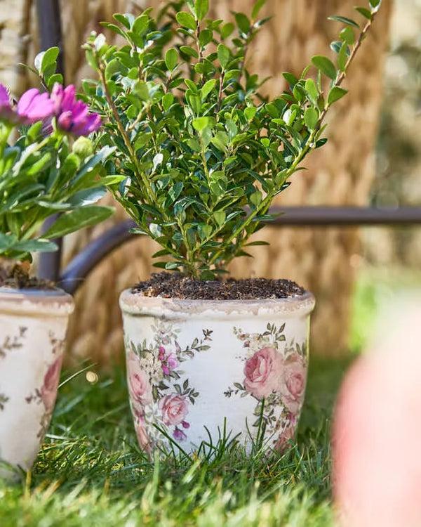 dibor Vintage Floral Patterned Ceramic Planter