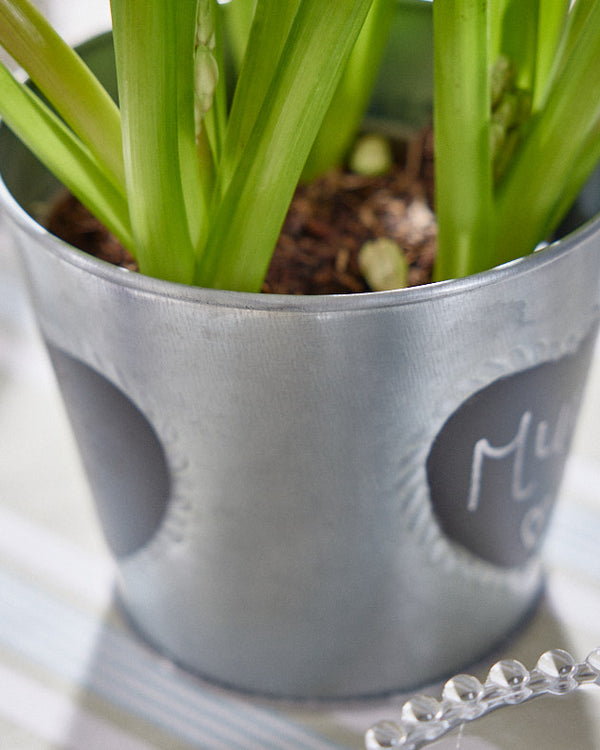 Dibor Vintage Zinc Heart Flower Planter