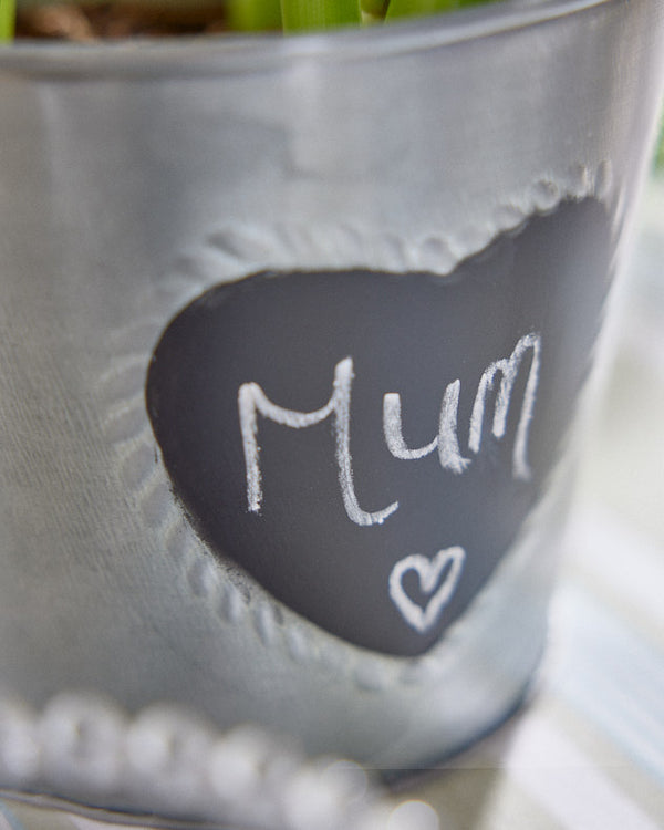 Dibor Vintage Zinc Heart Flower Planter