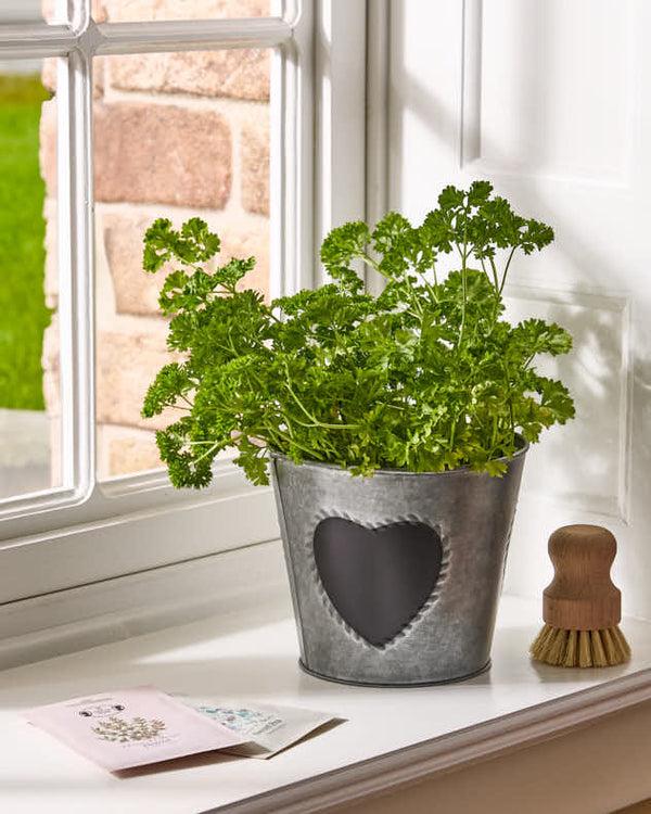 Dibor Vintage Zinc Heart Flower Planter