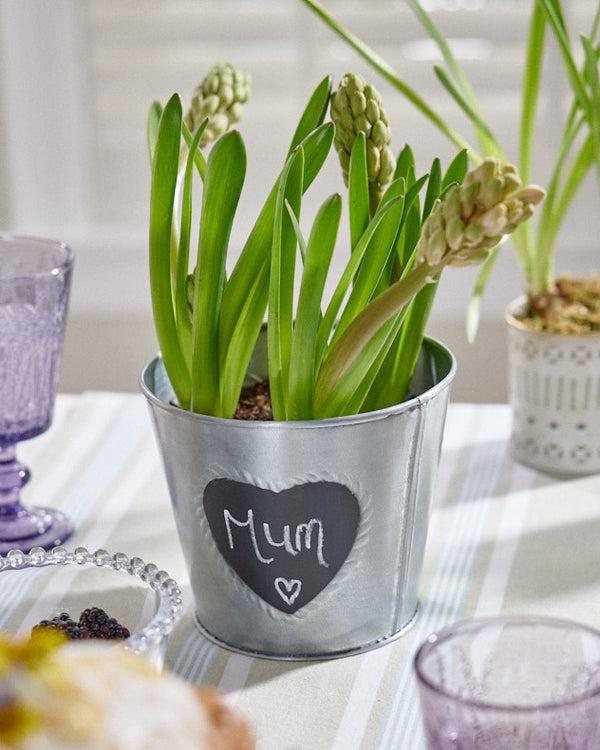 dibor Vintage Zinc Heart Flower Planter