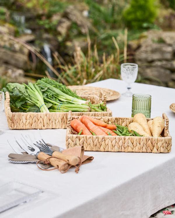 Dibor Water Hyacinth Garden Produce Tray
