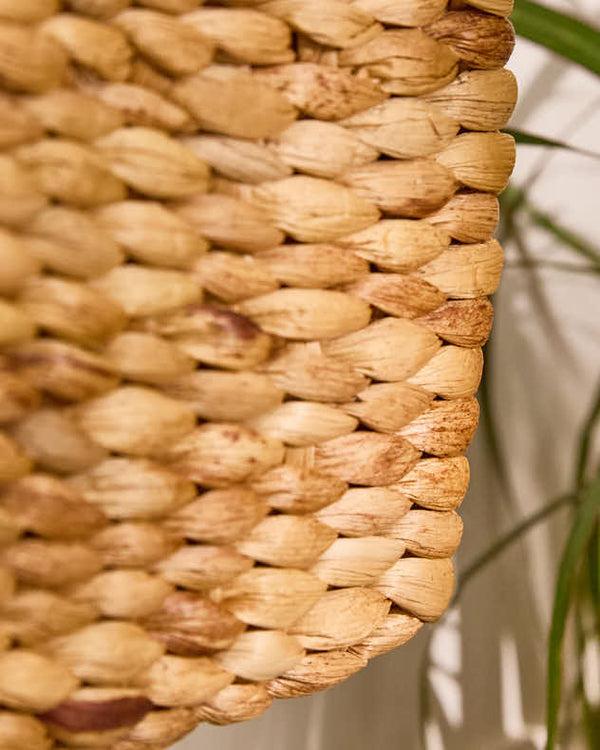 Dibor Water Hyacinth Magazine Basket