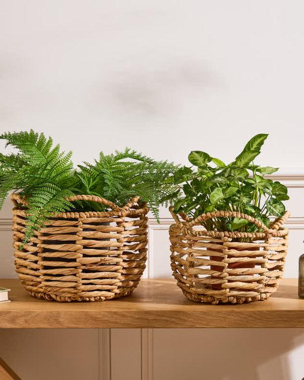 dibor Water Hyacinth Open Weave Scalloped Basket