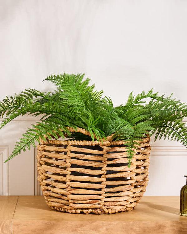 Dibor Water Hyacinth Open Weave Scalloped Basket