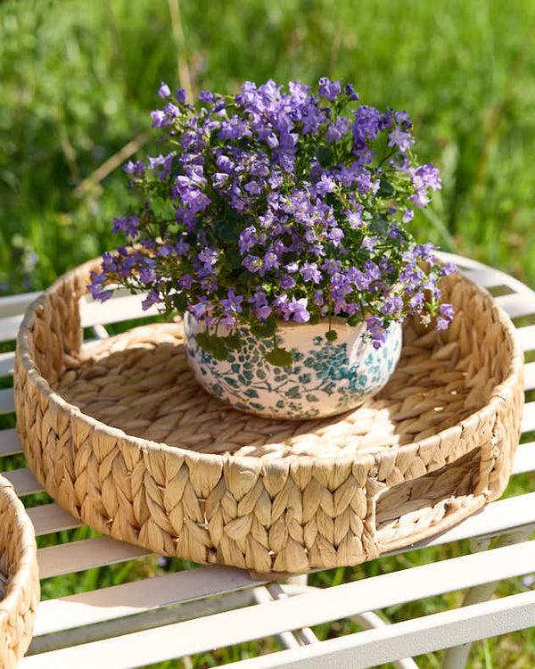 Dibor Water Hyacinth Tray