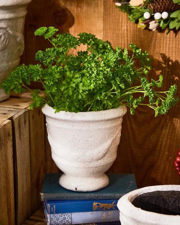 Dibor Whitehill Ceramic Planters