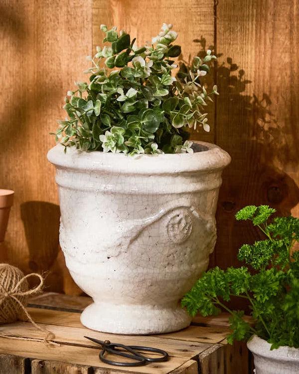 Dibor Whitehill Ceramic Planters