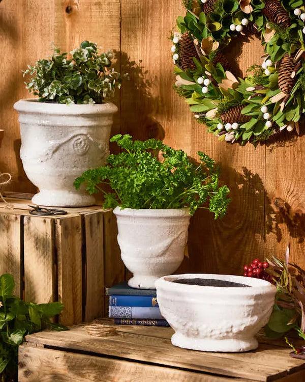 dibor Whitehill Ceramic Planters
