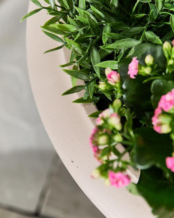 Dibor Wide Terracotta Urn Planter