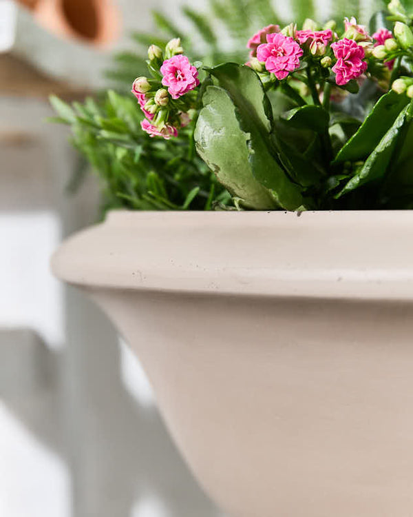 Dibor Wide Terracotta Urn Planter