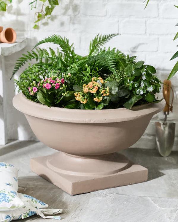dibor Wide Terracotta Urn Planter