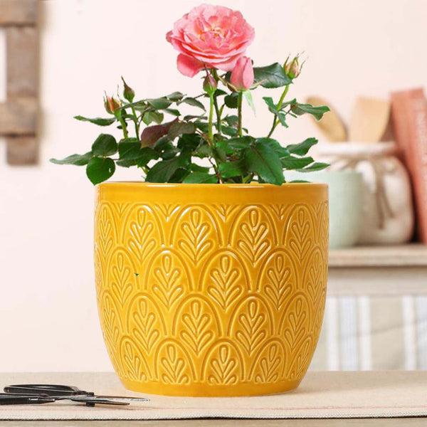 dibor Yellow Embossed Ceramic Planter