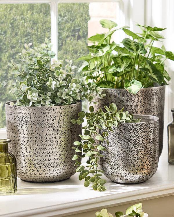 dibor Zaio Hammered Metal Planters